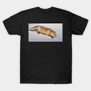 Red fox on a walk T-Shirt